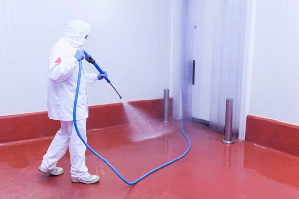 Best Playground Equipment Cleaning  in Clinton, NY